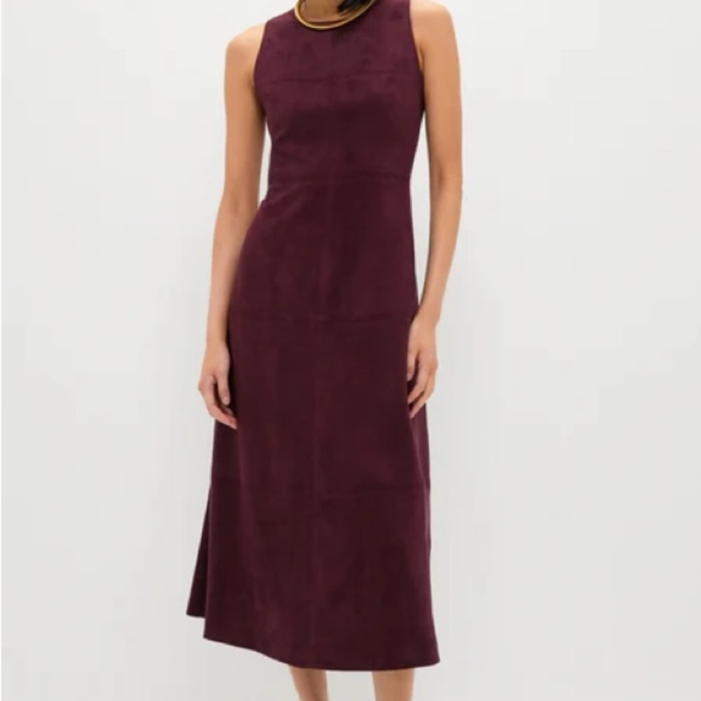Tuckernuck Winetasting Suede Manon Dress NWT XS